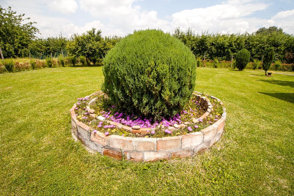 Bed and Breakfast I Due Orfici Cona  Екстер'єр фото
