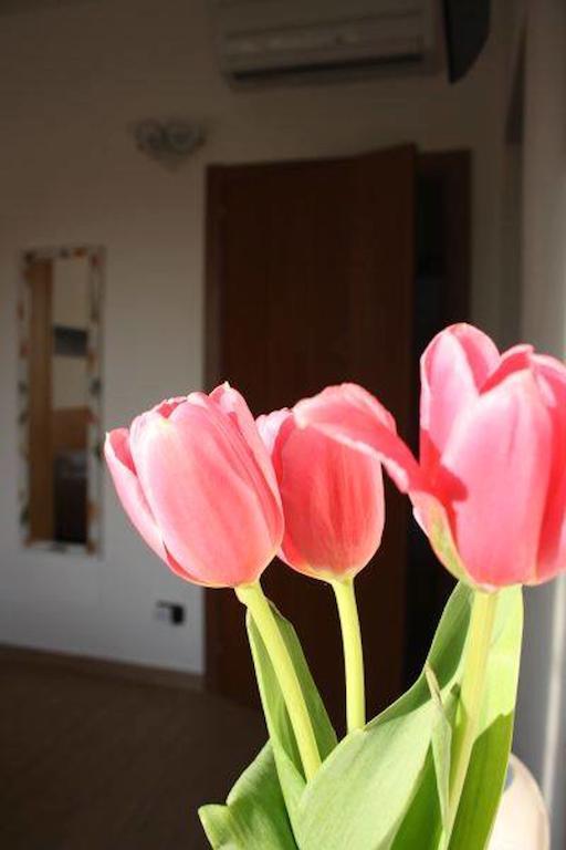 Bed and Breakfast I Due Orfici Cona  Екстер'єр фото