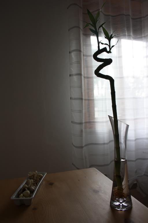 Bed and Breakfast I Due Orfici Cona  Екстер'єр фото